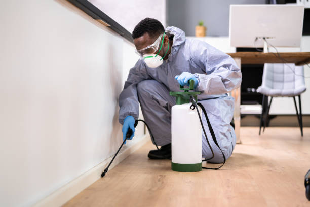 Best Residential Pest Control  in New Fairview, TX